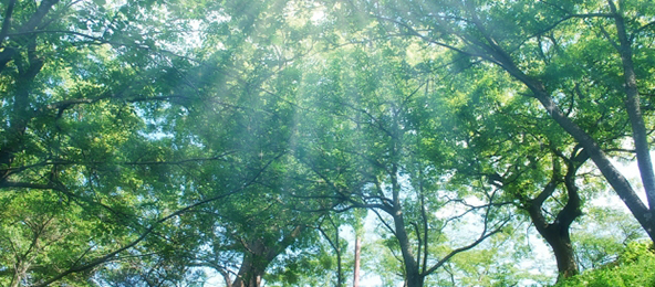 医業経営情報 最新情報